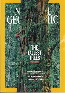 National Geographic. October 2009. Vol. 216 No. 4. The Tallest Trees. Redwoods. Plus Whales; Indonesia; Sahara; Shipwreck. (Rocketing Whales; Indonesia Faces the Fanatics; Lost in the Sahara; A Priceless Shipwreck., 216)