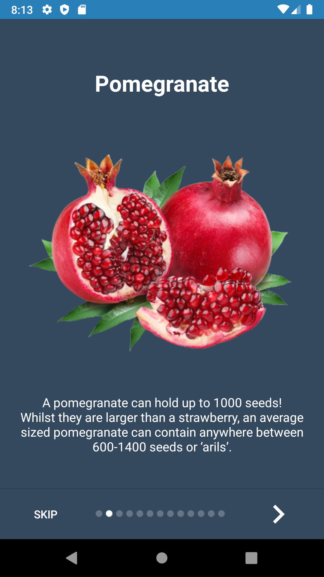 Fruits and Vegetables Learning Introduction to food Preschool and