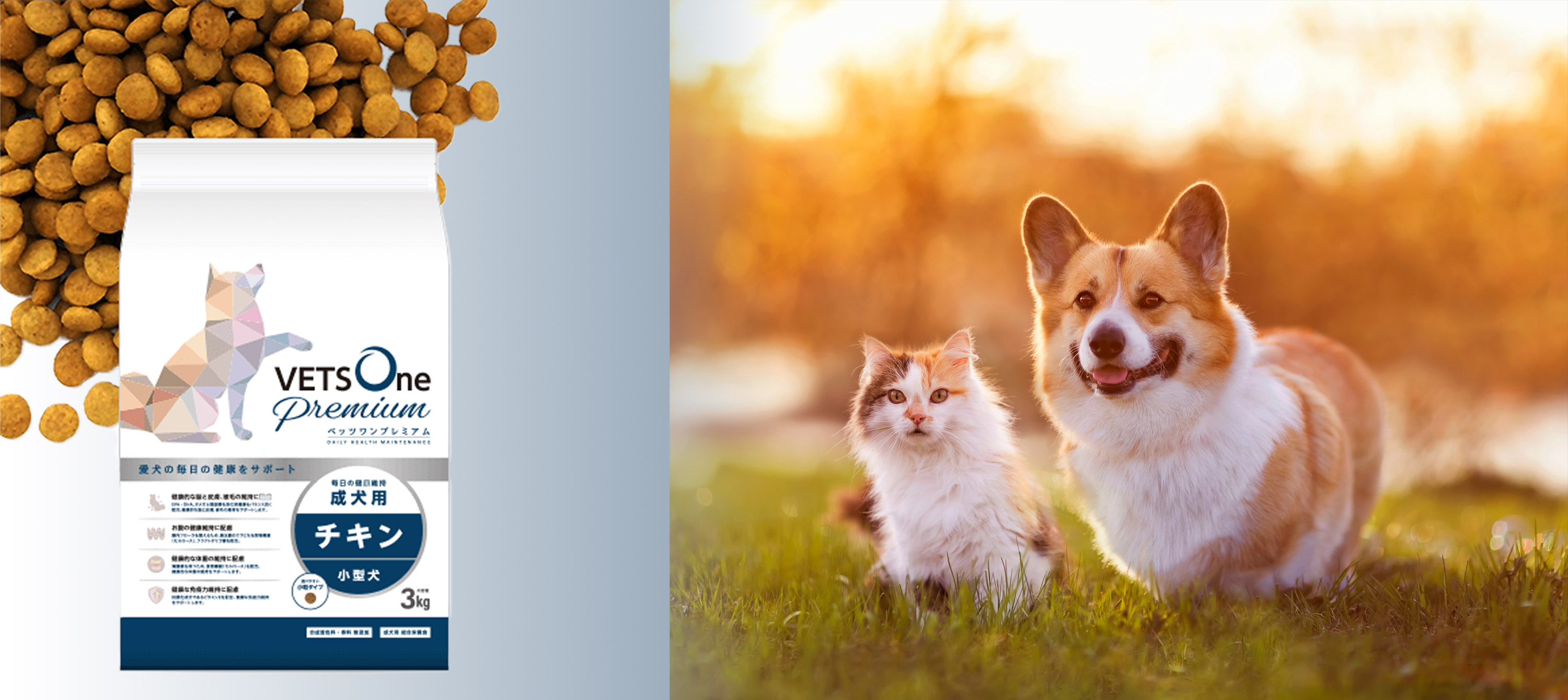 Amazon.co.jp: ベッツワンプレミアム 毎日の健康維持 小型成犬用