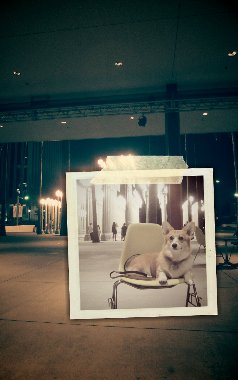 Flashback Camera Application sur Amazon Appstore