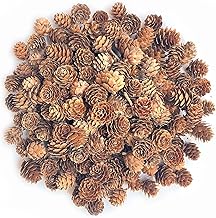 Christmas Pine Cones, POTWPOT 100 Pieces Natural Pine Cones Mini Pine Cones Bulk Christmas Pinecones for Crafts Christmas Party Ornament DIY Home Decoration(1-2cm)