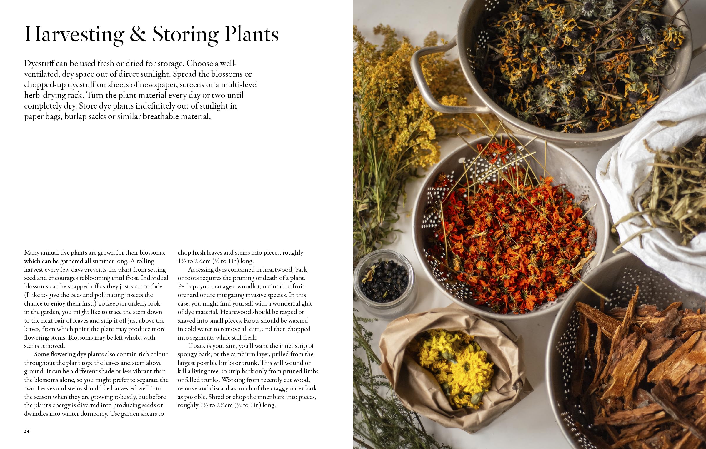 From Plant to Pigment: How to make your own vibrant inks, pastels and paints