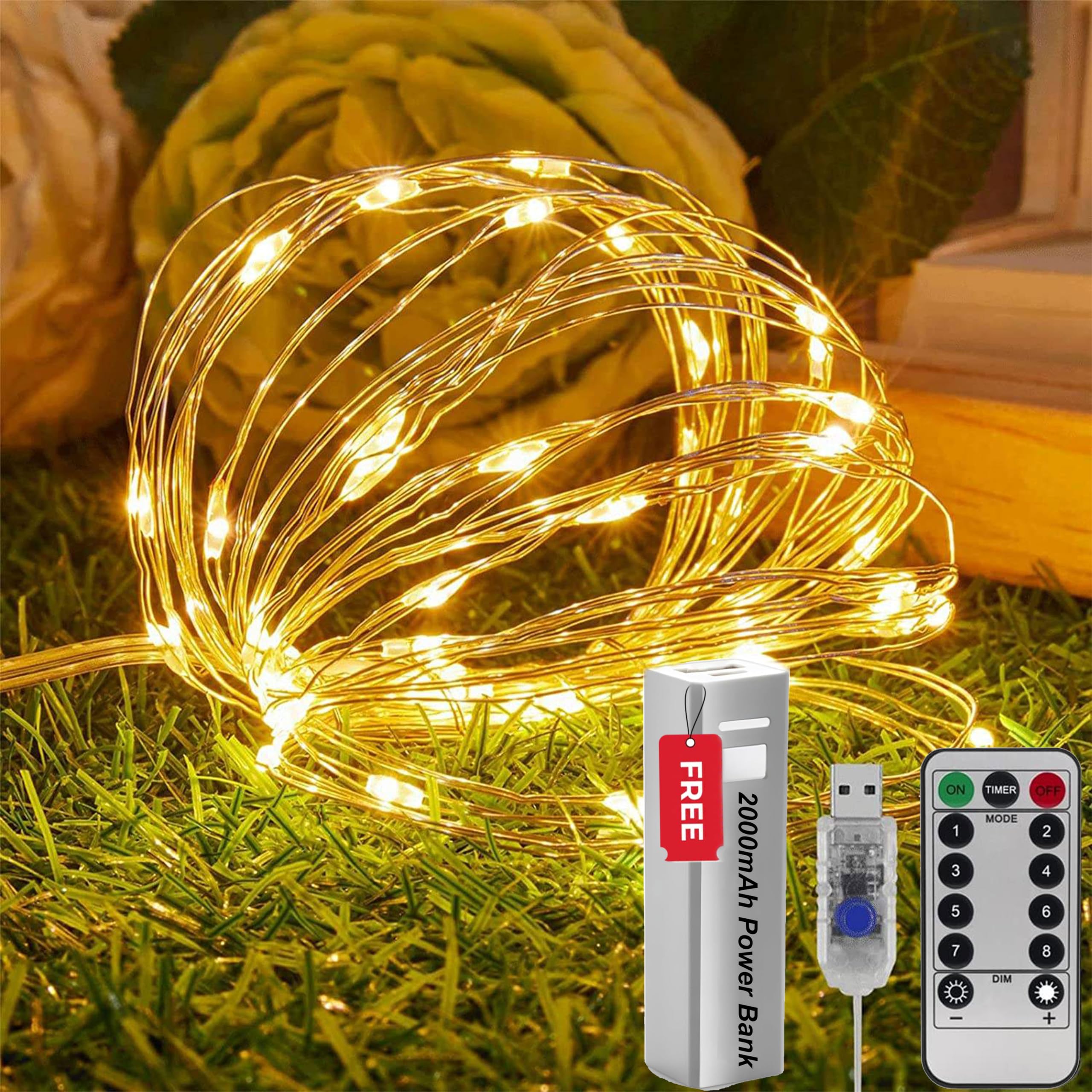 SR ESSENTIALS Fairy Lights, 100 LED 10M USB Plug-in String Lights with Remote, Indoor Outdoor + Free 2000mAh Power Bank for Bedroom, Wedding Decor, Party, Christmas, Tree Decoration (Warm White)