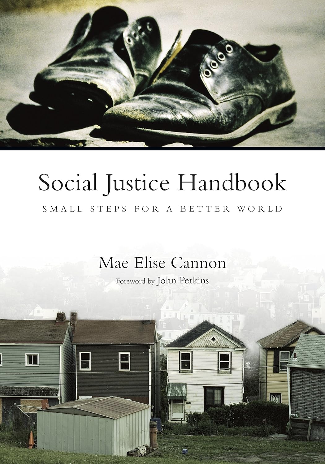 Social Justice Handbook: Small Steps for a Better World (BridgeLeader Books)