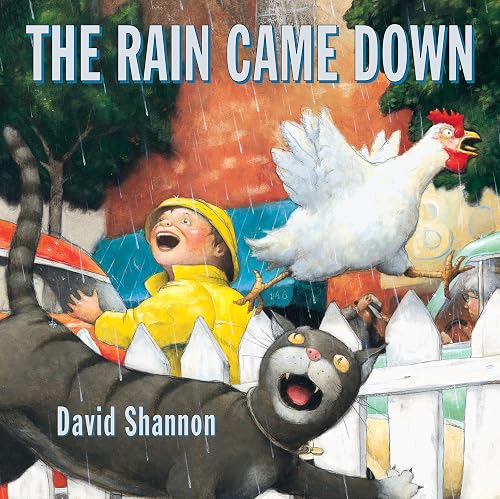 The Rain Came Down (Scholastic Bookshelf)