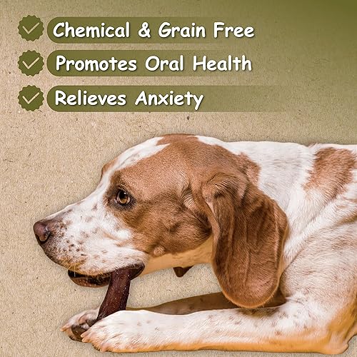 Miniatura 3 de Palitos masticables Bully estándar de 12 pulgadas por Top Dog Chews (paquete de 12)