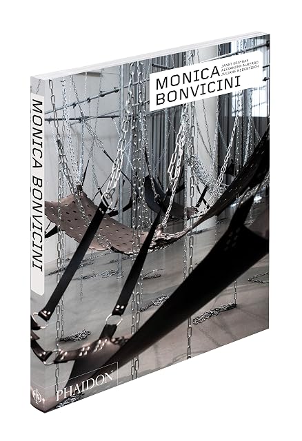 Portada de Monica bonvicini
