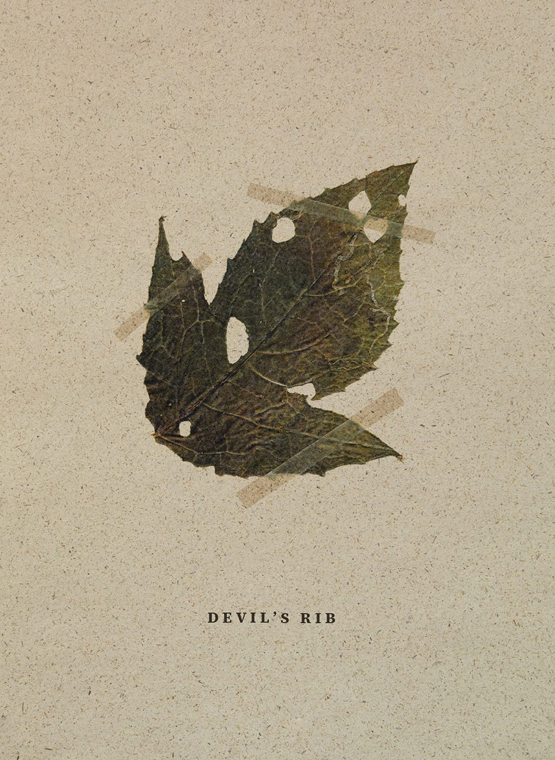 Devil's Rib sélection premium condiment pimenté pour cuisine gastronomique
