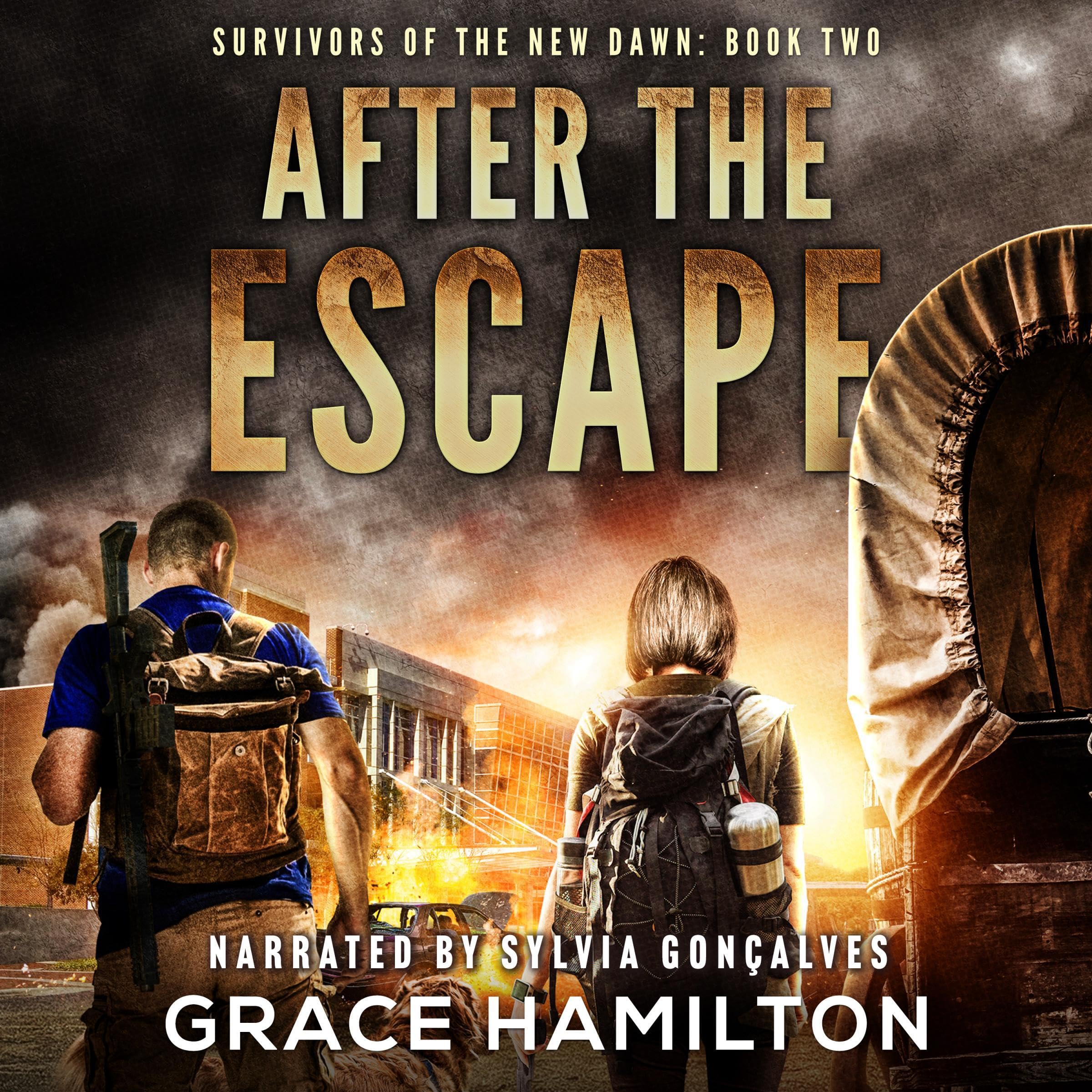 Cover art for After the Escape