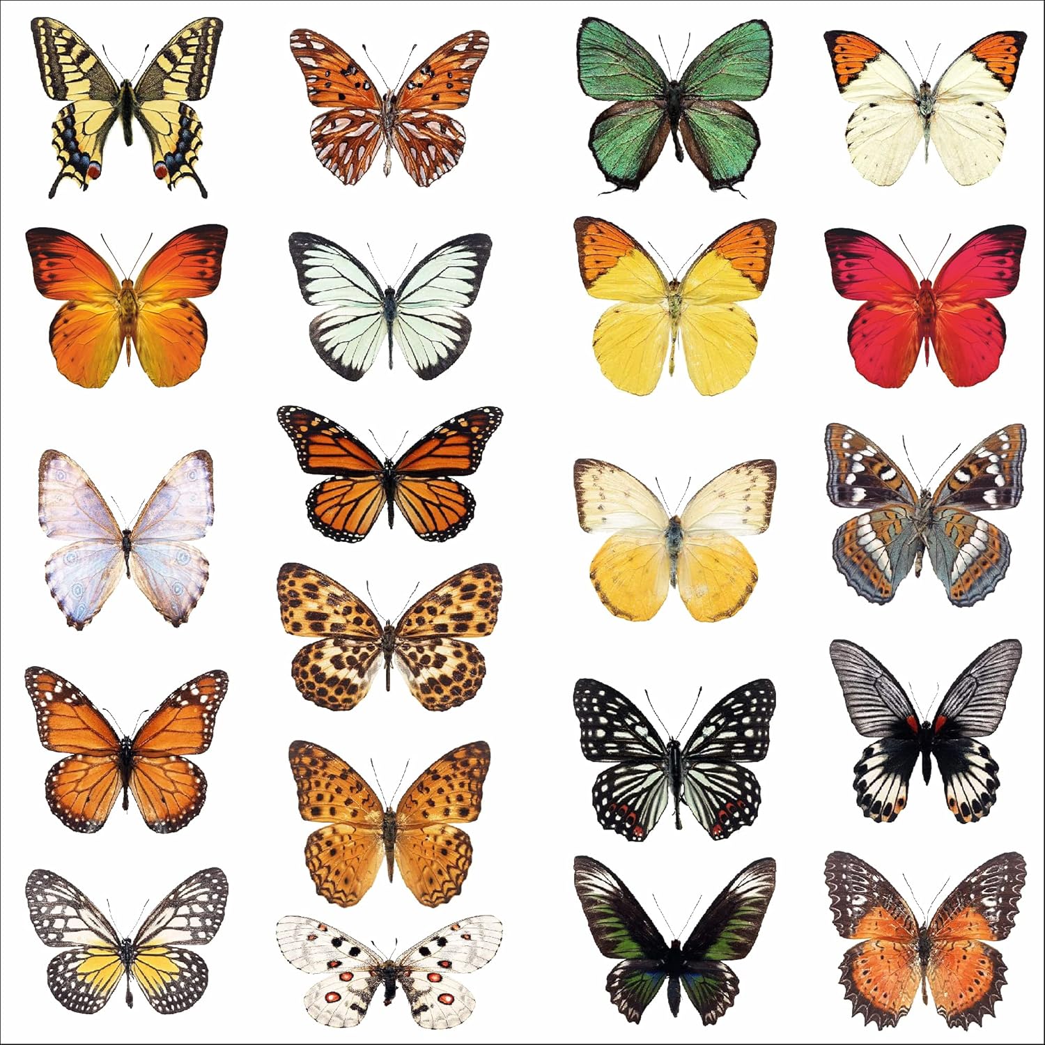 21 x Photo Realistic Butterfly Window Stickers for Glass Decorative