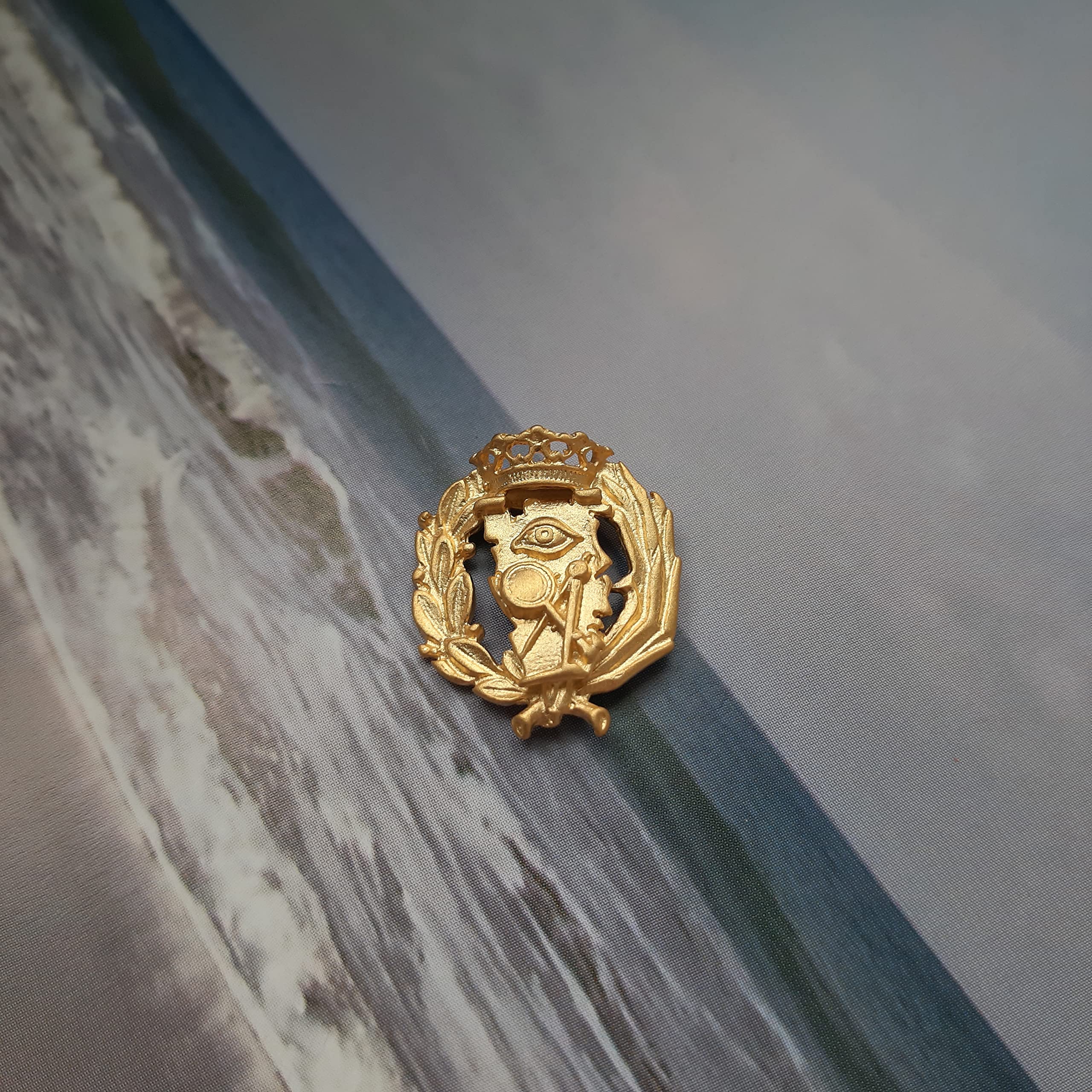 Insignia Profesional de Ciencias Exactas Pin para Hombre Mujer en Plata 925 Chapado en Oro con Estuche para Regalo