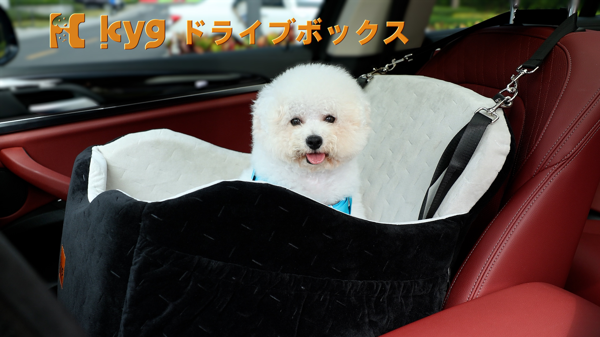 Amazon.co.jp: KYG ドライブボックス ドライブベッド 座り台高さ調節