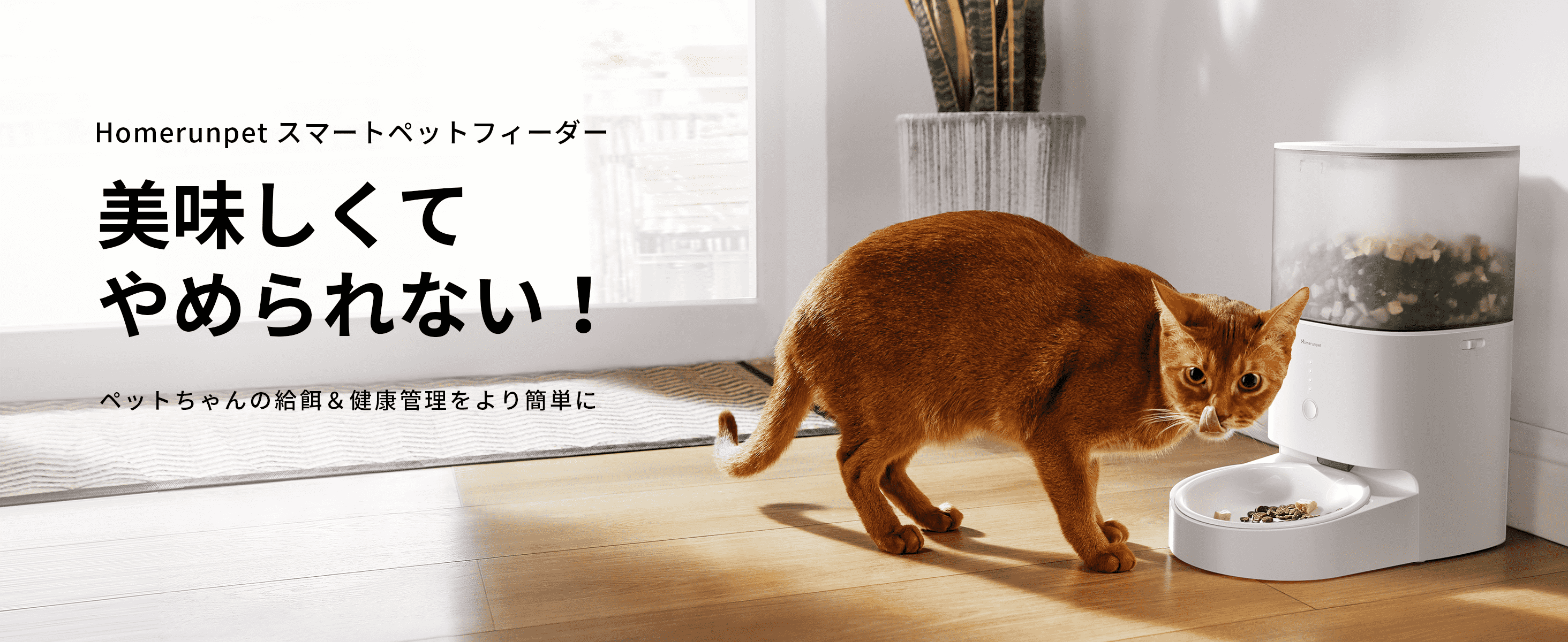 Amazon | Homerunpet 自動給餌器 猫 中小型犬用 スマホ アプリ 食事