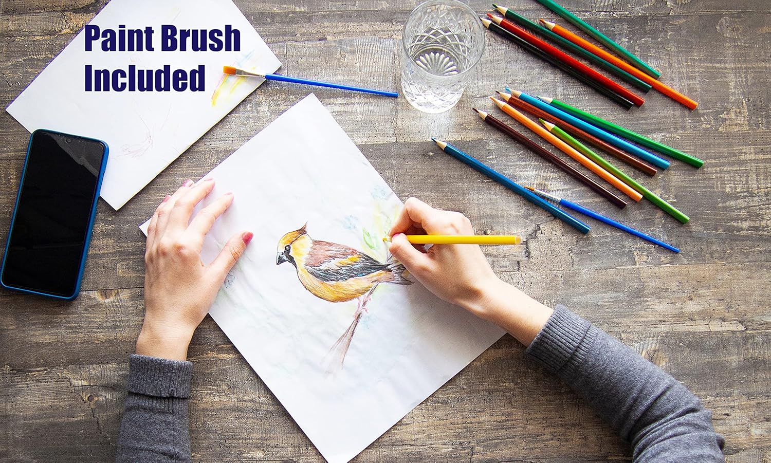 Astra Prestige 12 Watercolour Pencils and Paint Brush in Metal Tin Case for Children and Adult Artists - FSC Certified Pre-Sharpened Cedar Wood Pencils