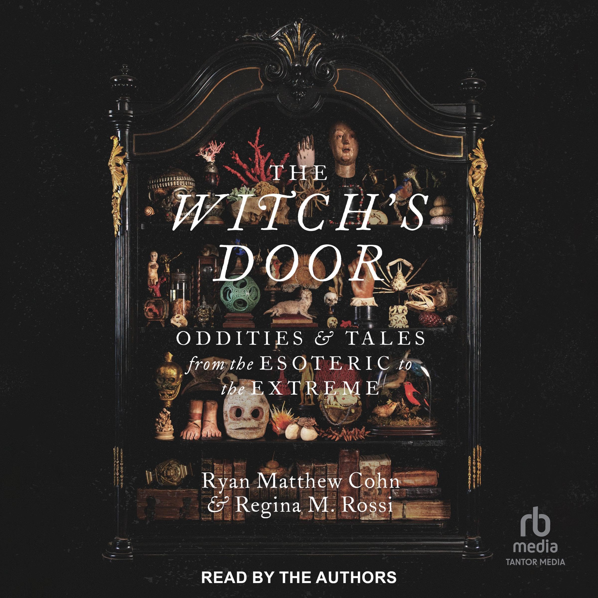 Cover art for The Witch's Door