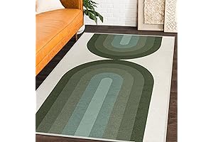 Lahome Boho Retro Living Room Rug: 4x6 Green Rainbow Woven Rug for...