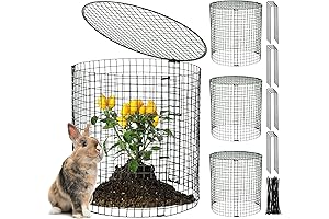 Hiboom Plant Protector: Protect Your Plants from Unwanted Guests