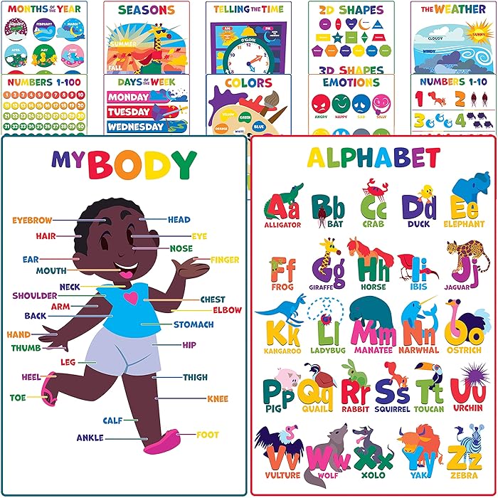 Buy Youngever 12 Pack Laminated Educational Preschool Posters for