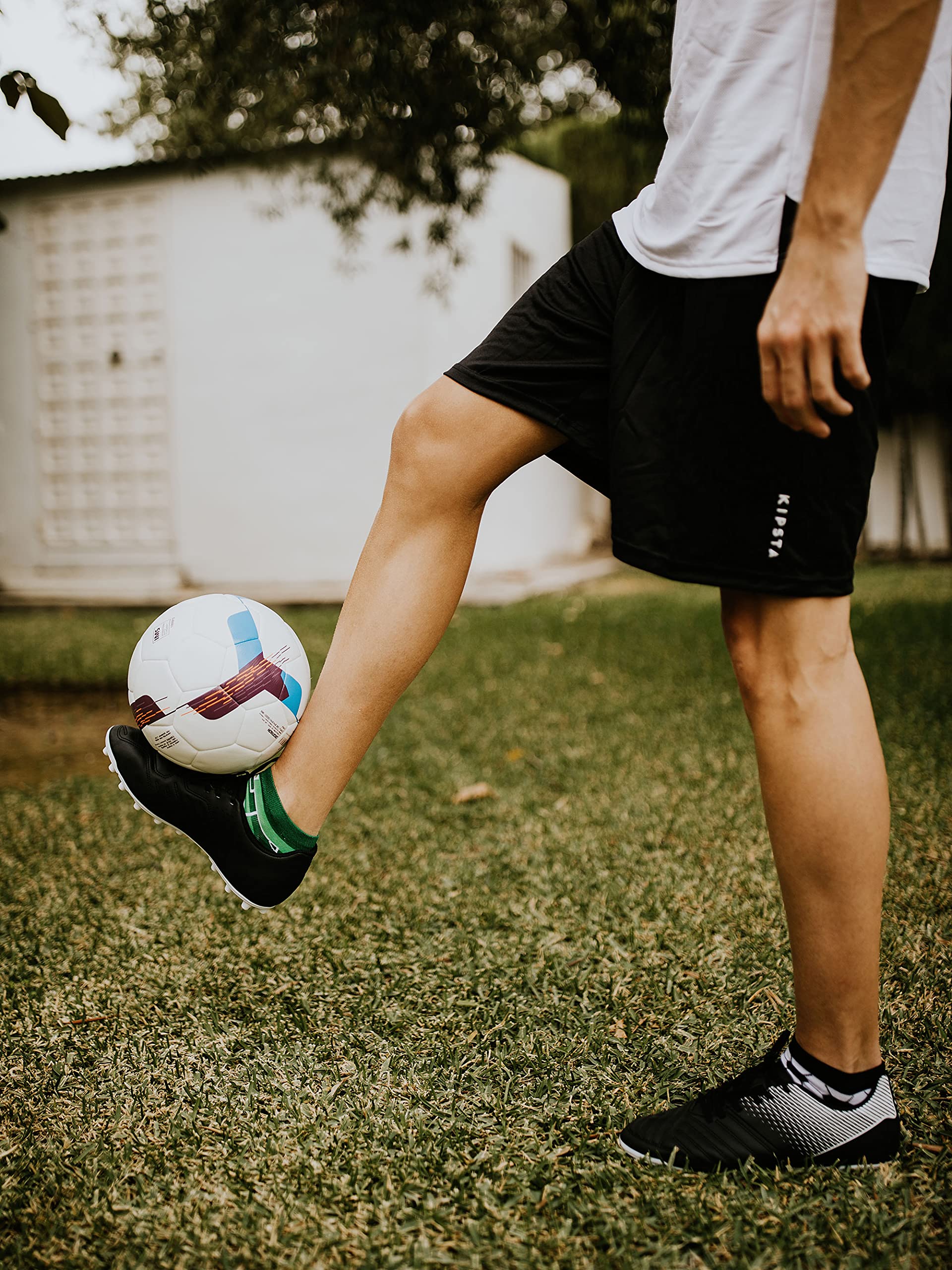 Dedoles Calzini Unisex Donna Uomo & Bambini Calze Cotone con tanti Design divertenti Calcio Bicicletta Piante Cavalli Regalo sinistra destra diversi