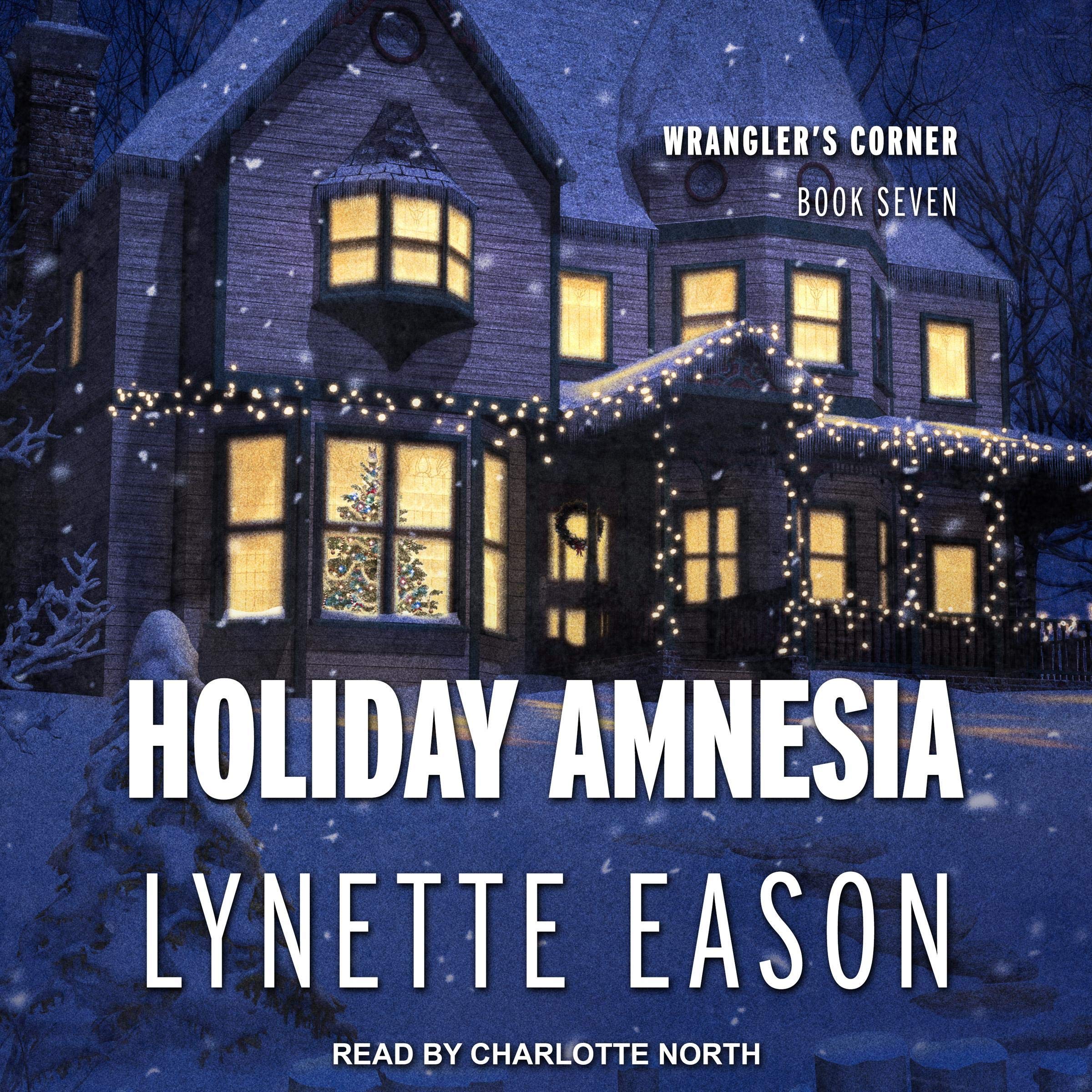 Cover art for Holiday Amnesia