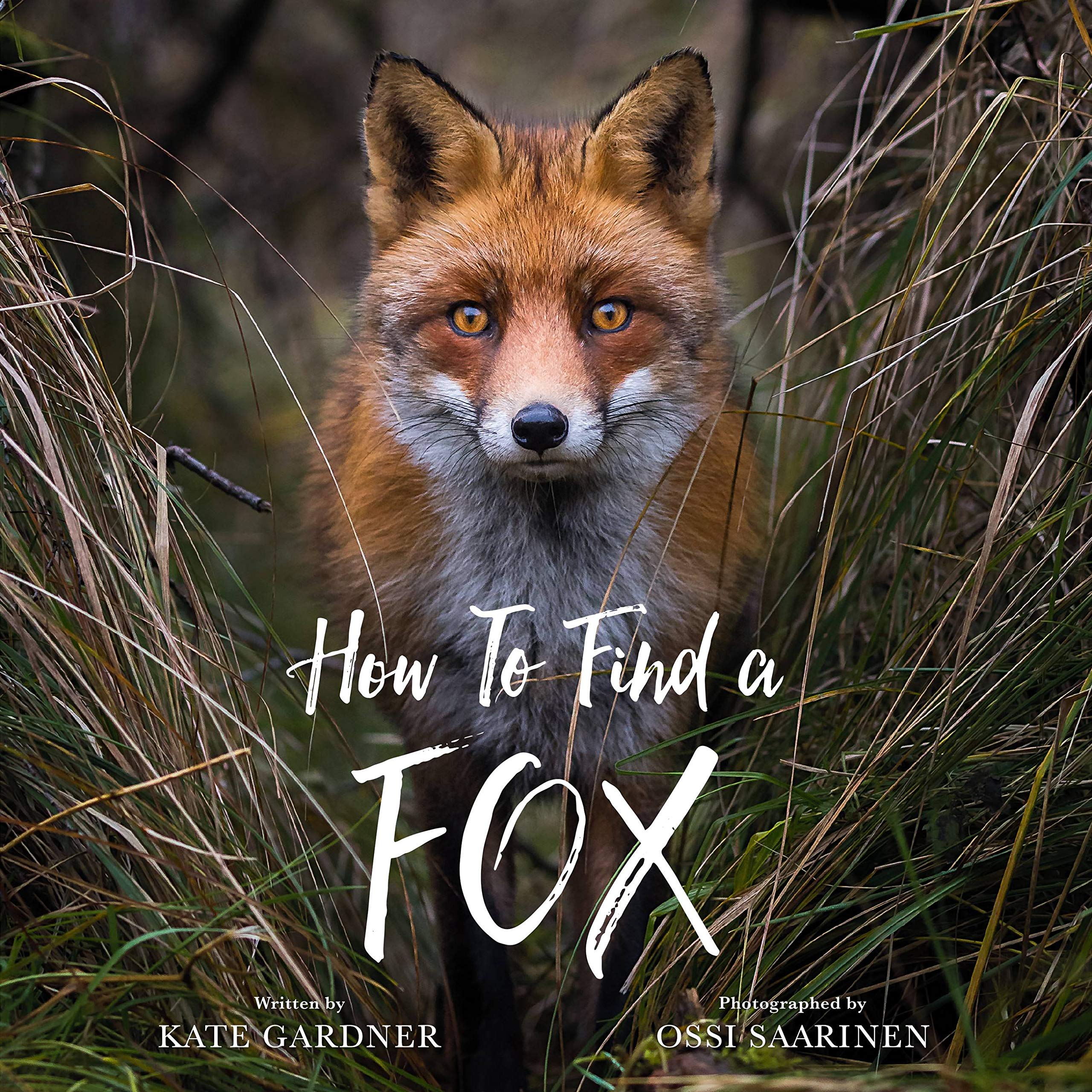 Kate GardnerHow to Find a Fox