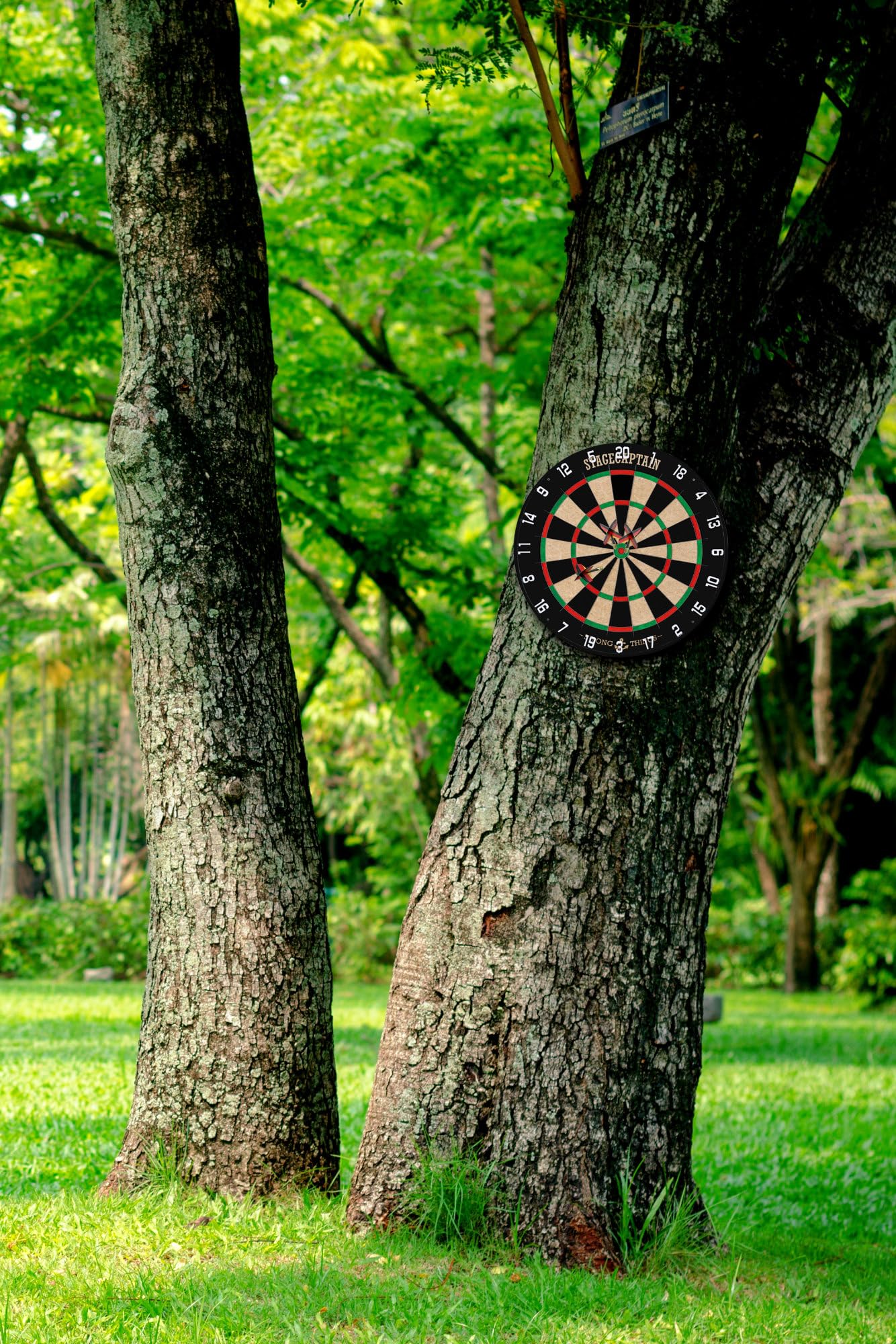 Stagecaptain DBS-1715C Bullseye Champion Dartscheibe, Dartscheibe aus Sisal | Drehbarer Nummernring, Material Scheibe: Sisal, Super deutlich lesbare Nummerierung, Stärke: 3, 5 cm, 8 mm, 5 kg, Gewicht: 4