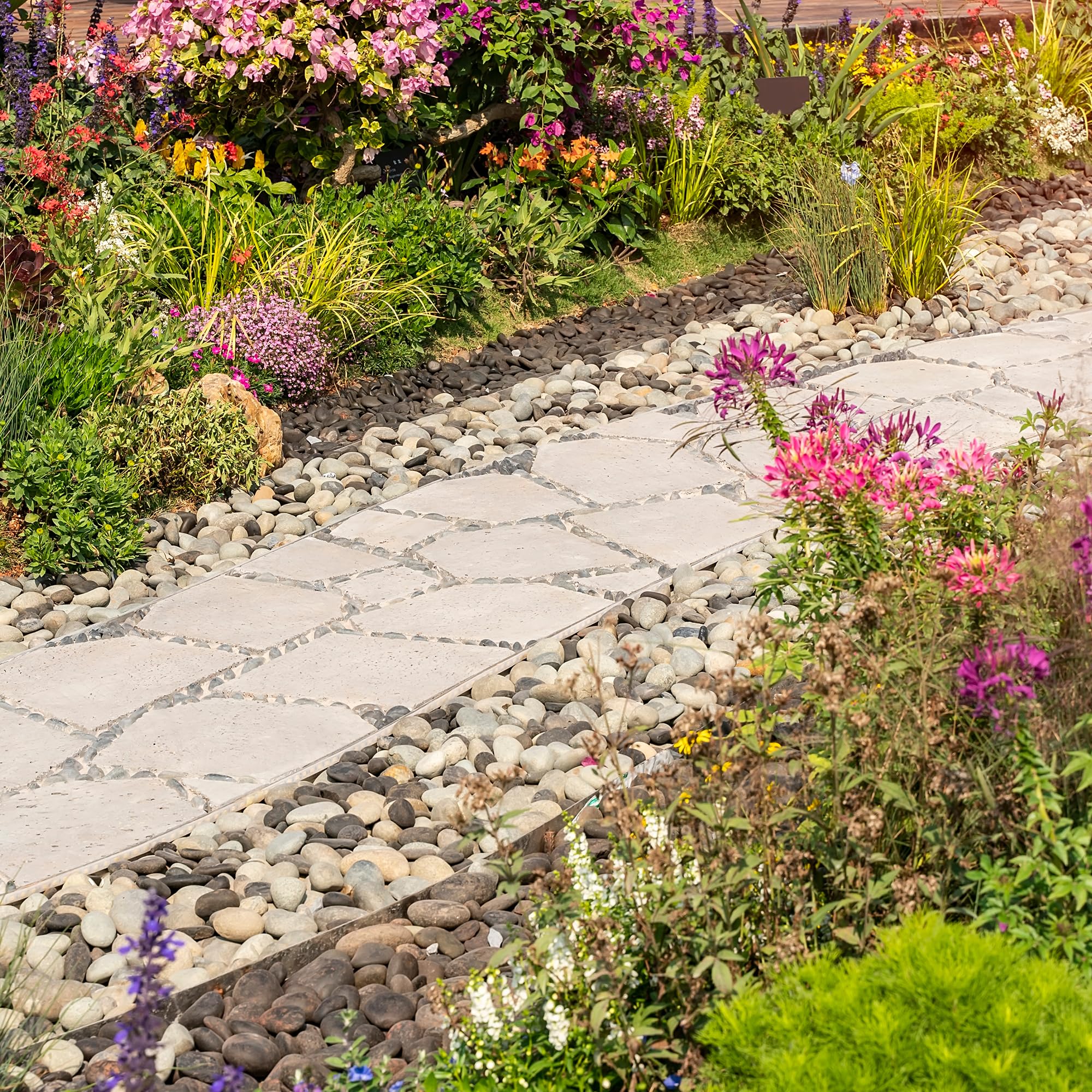 Rocas de río de 40 libras, guijarros naturales de 1 a 2 pulgadas para plantas, piedras de primera calidad seleccionadas a mano para paisajismo y diseño de jardines, peceras, macetas, caminos y
