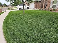 Review Image by Lynn Costa Lynn Costa