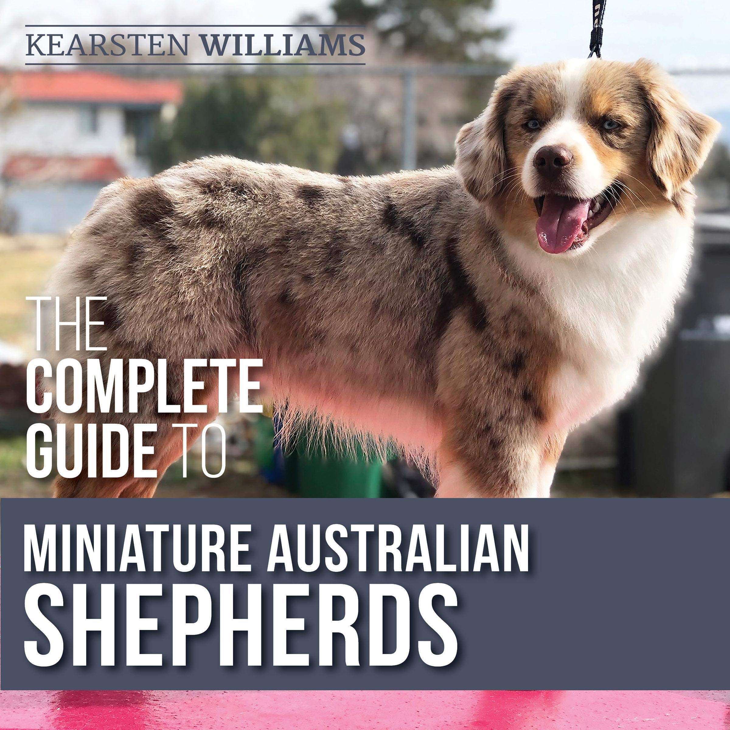 Cover art for The Complete Guide to Miniature Australian Shepherds