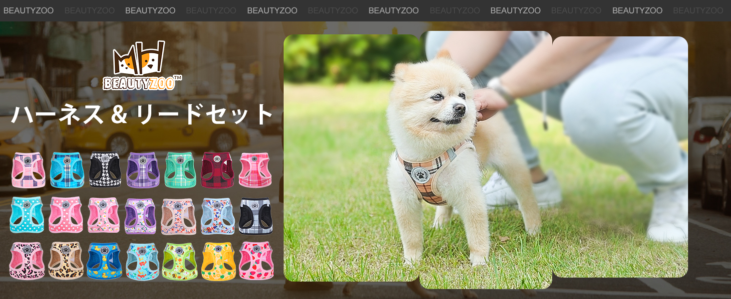 Amazon | BEAUTYZOO 犬 ハーネス リードセット 抜けない 胴輪 引っ張り