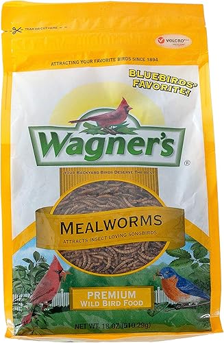 Wagner's 58005 Mealworms Wild Bird Food, bolsa de 18 onzas