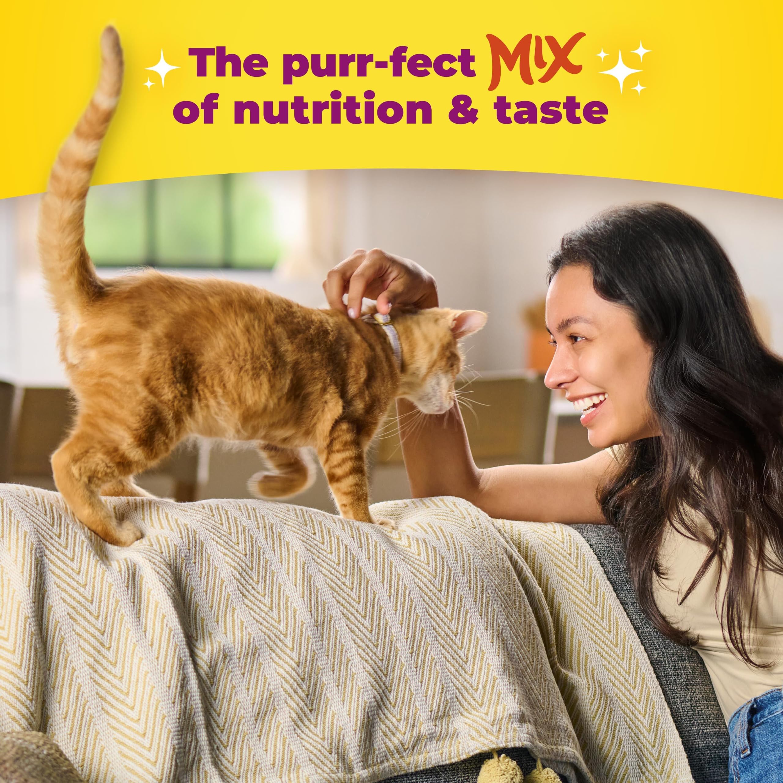 Meow Mix Original Choice - Alimento seco para Gatos, Bolsa de 6.5 Libras