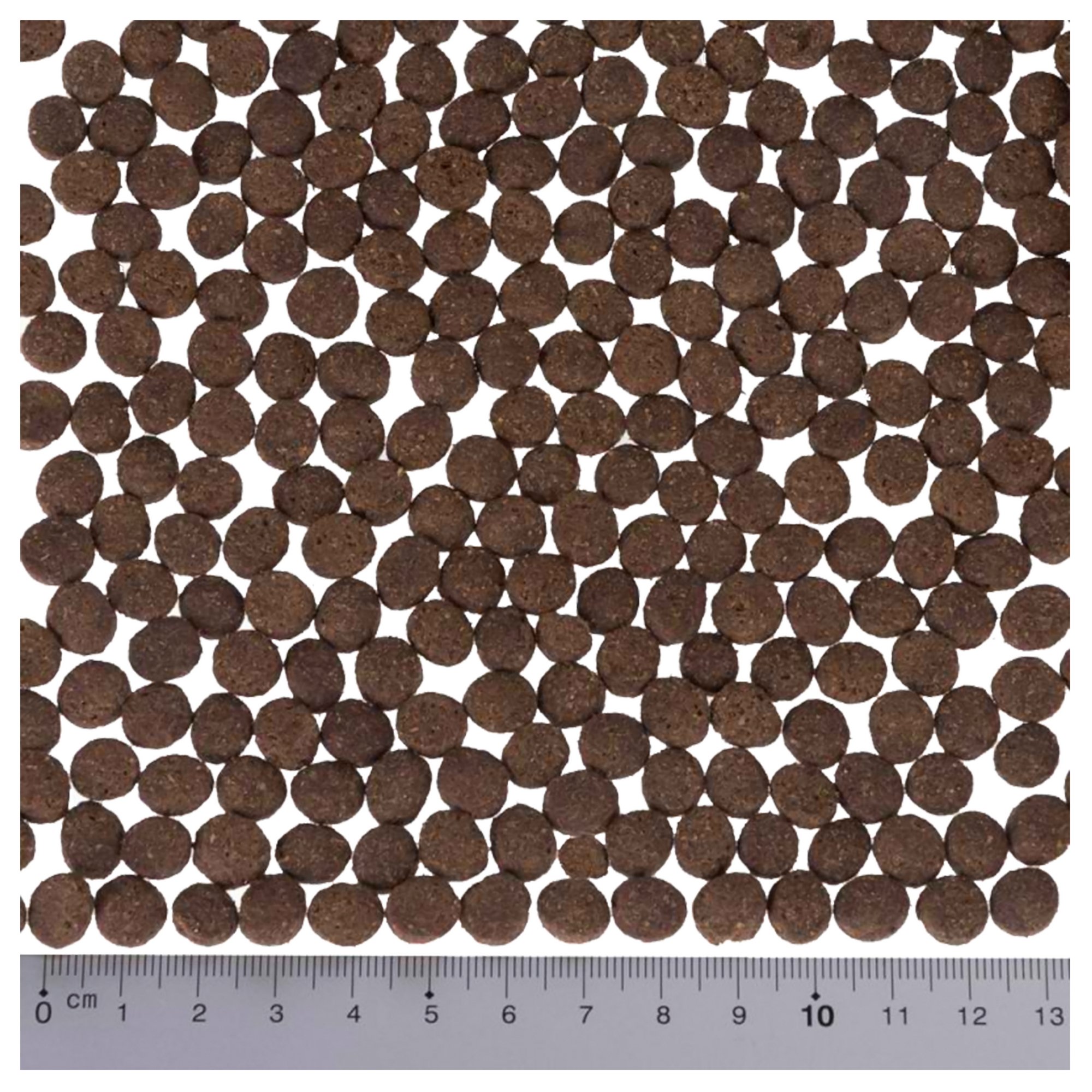 View 2