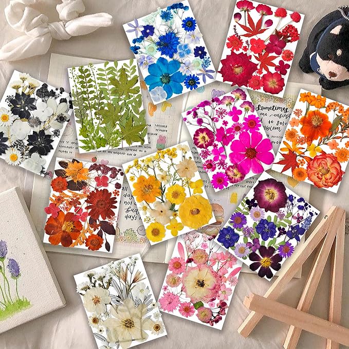320pcs Flores Secas y Prensa para Resina, Artesanías, Decoración miniatura 2