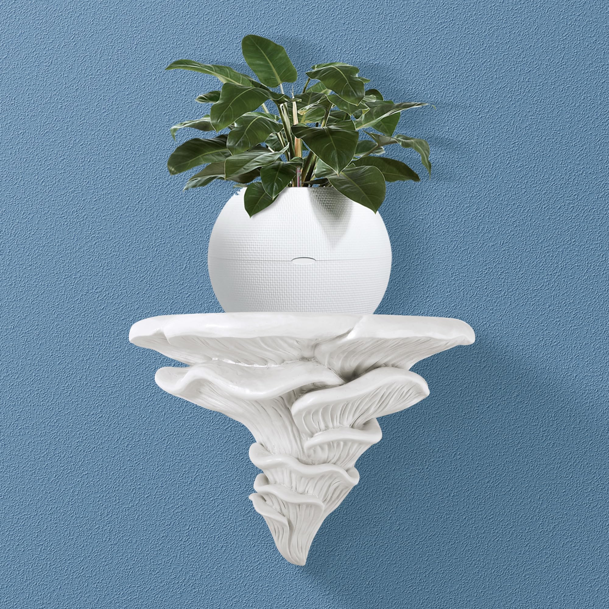 Cute Mushroom Shelves - Floating Wall Decor -10