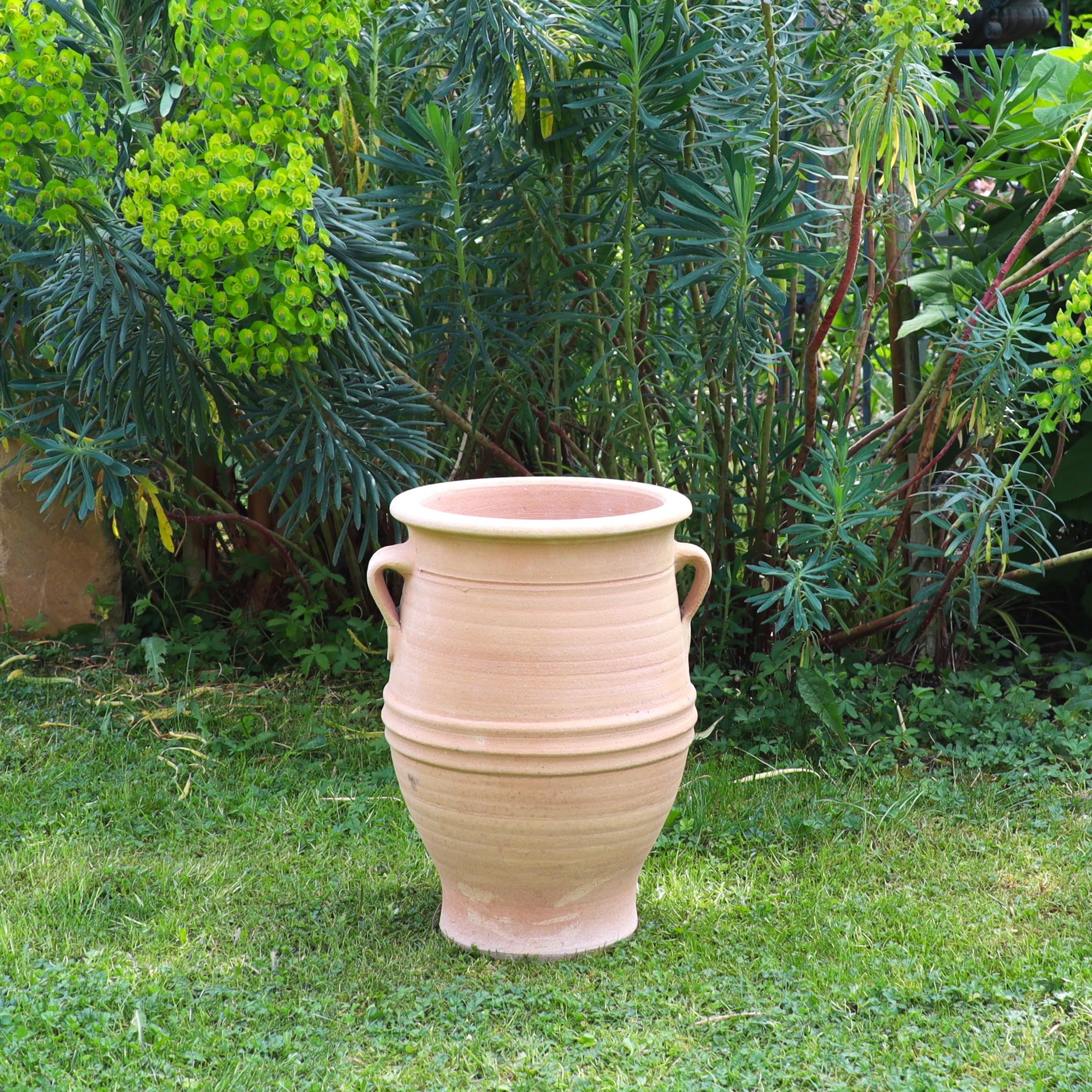 Palatina Werkstatt Terracotta Amphore Thymus 40cm - 100% Handgefertigtes Unikat - Exklusive winterfeste Amphore für den Garten- & Innenbereich