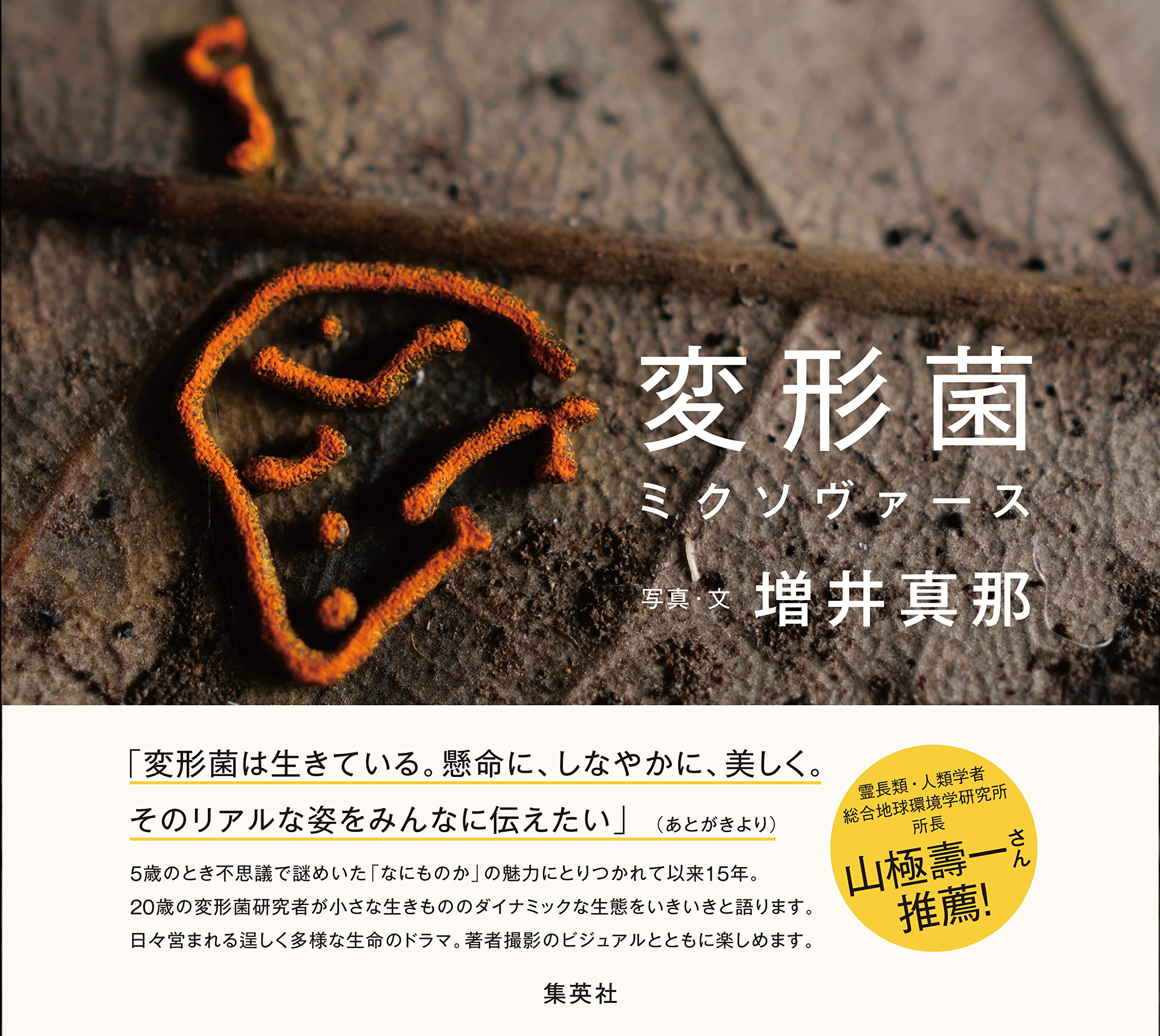 Amazon.co.jp: 増井 真那: 本、バイオグラフィー、最新アップデート