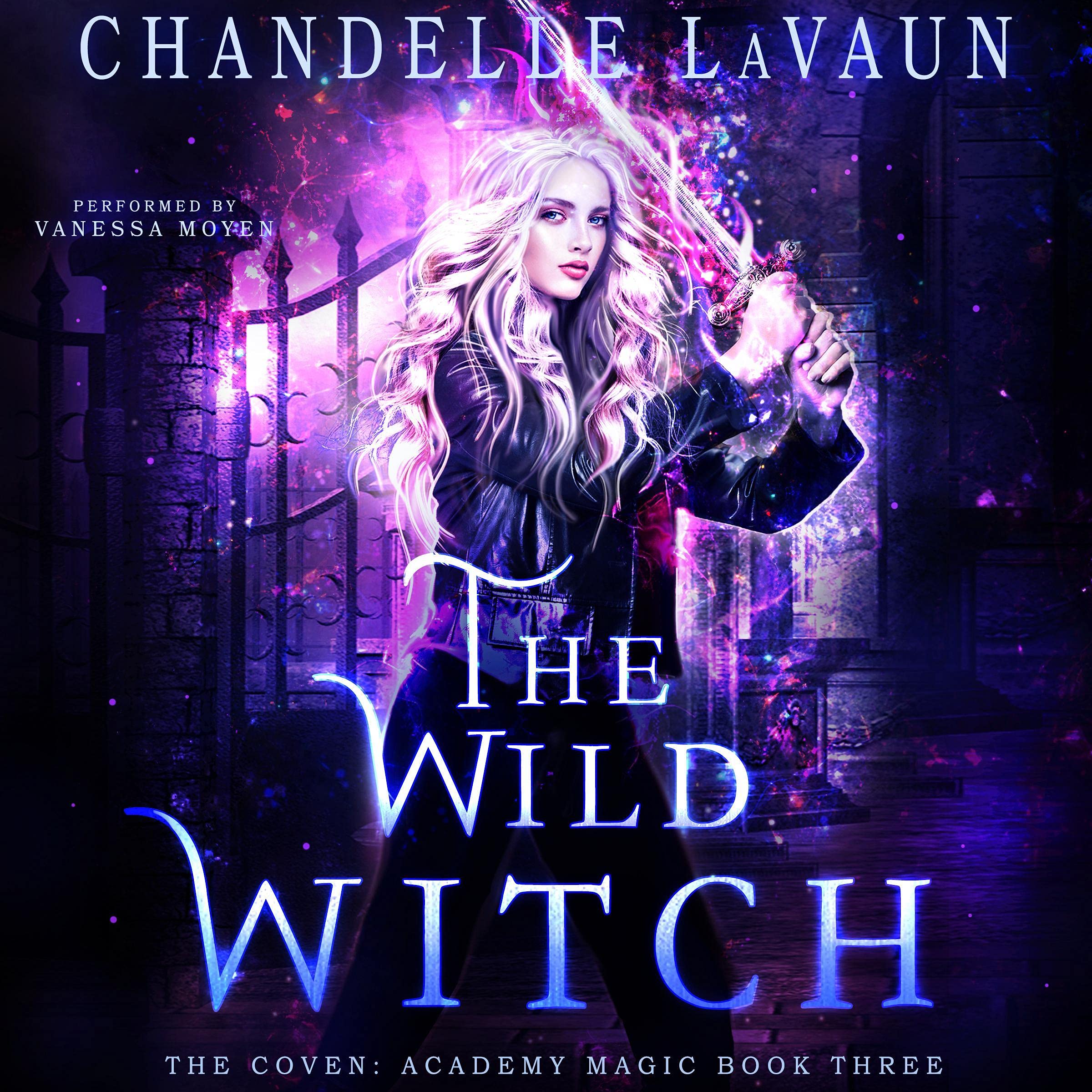 Cover art for The Wild Witch
