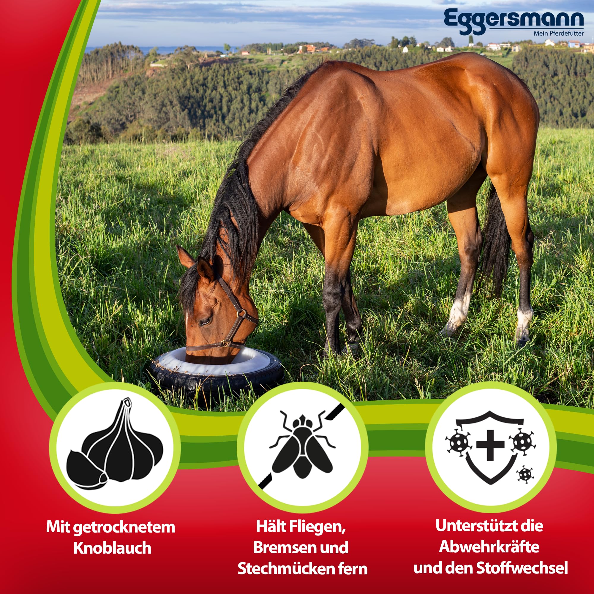 Eggersmann Mein Pferdefutter Aglio Professionale Plus 4 kg – Mangime complementare per Cavalli – Contro Mosche, Freni e zanzare – Supporta Il metabolismo e la Difesa immunitaria