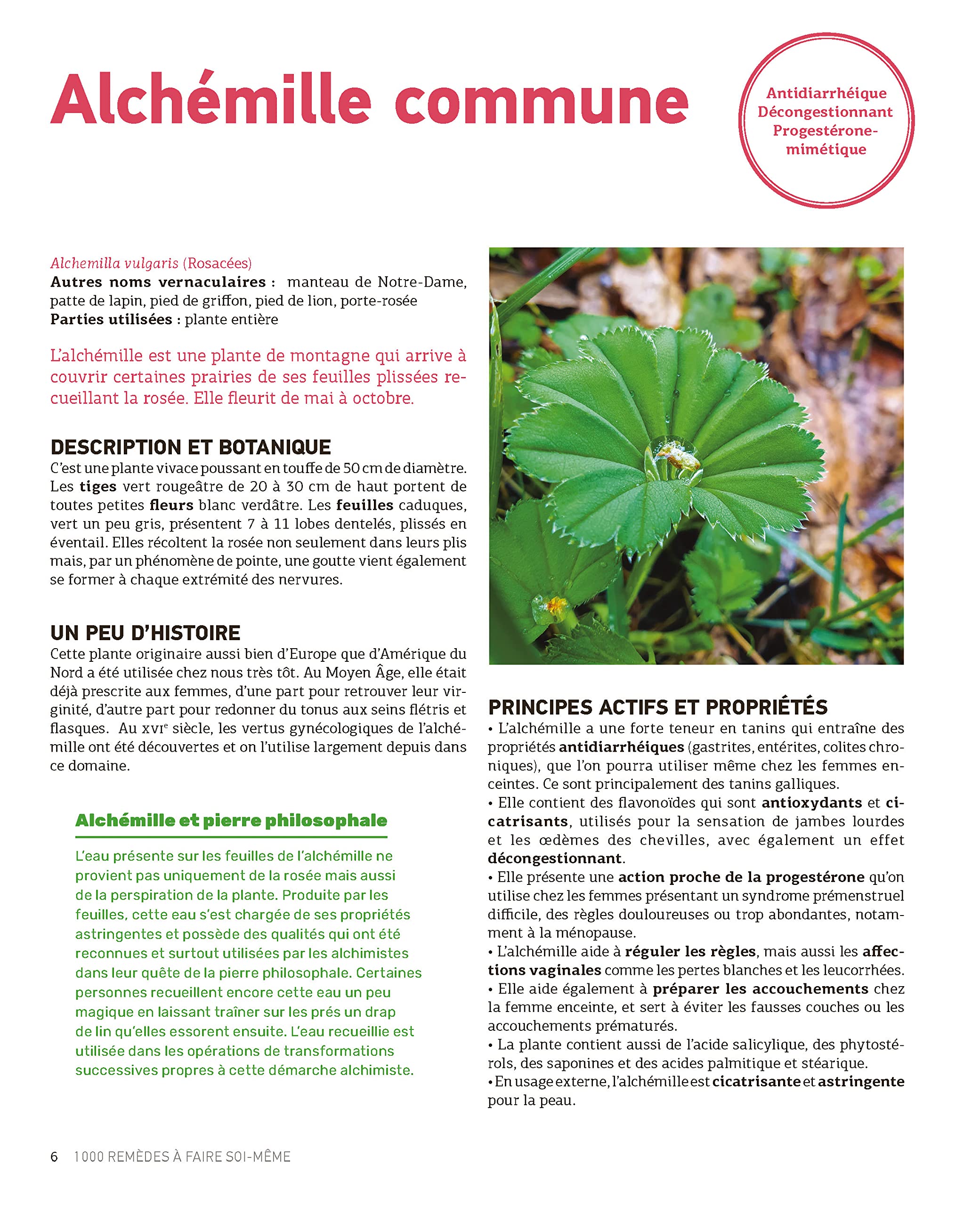 Le guide Terre Vivante 1000 remèdes à faire soi-même: Teintures mères - Macérats - Baumes- Lotions - Sirops - Tisanes...