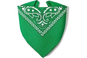 Paisley Bandanas for Kids/Men/Women