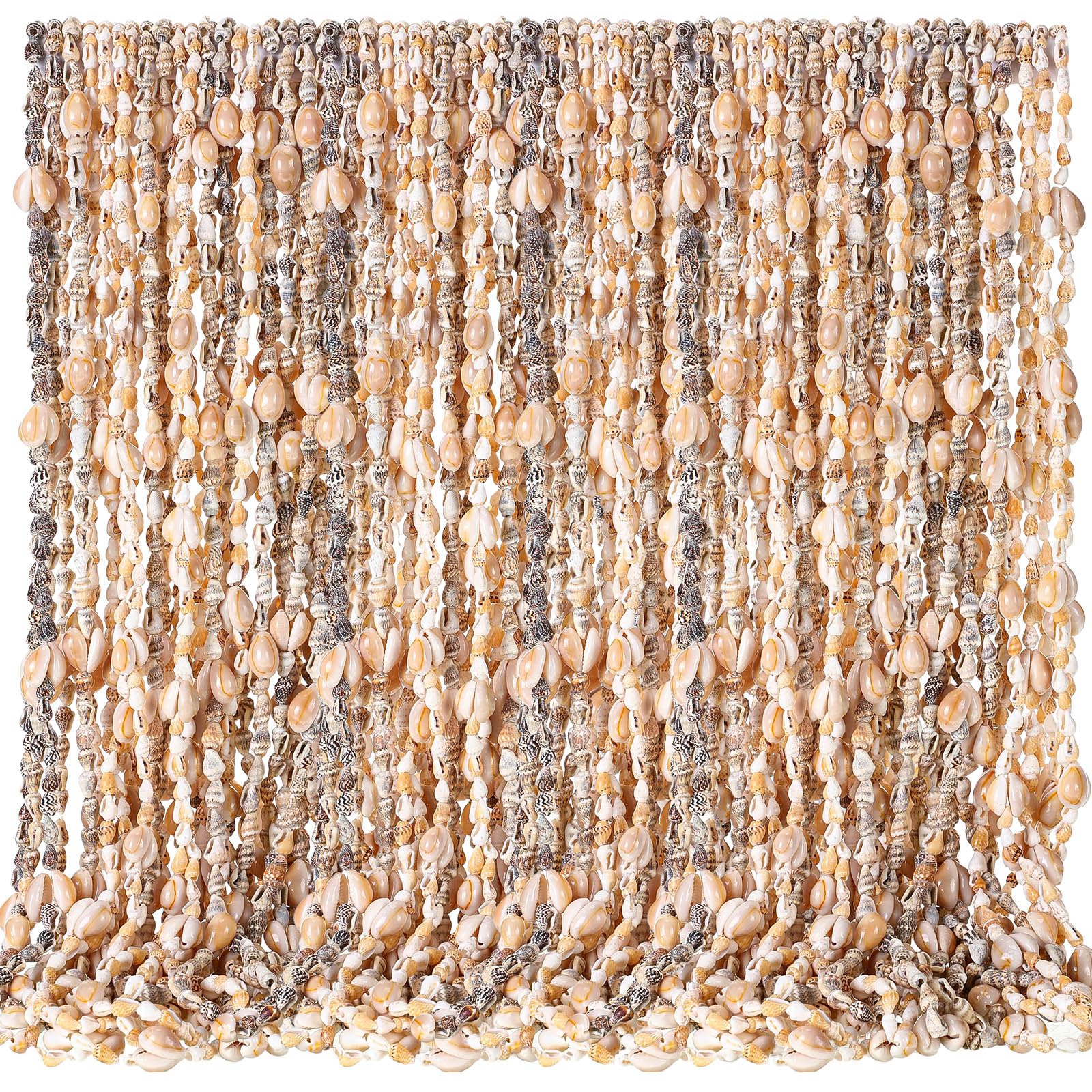 EcationHawaii Shell Luau Leis Bulk Sea Shell Leis Natural Tahitian White Nassa Necklace Summer Beach Party Apparel Jewelry Accessories for Women Men Hawaiian