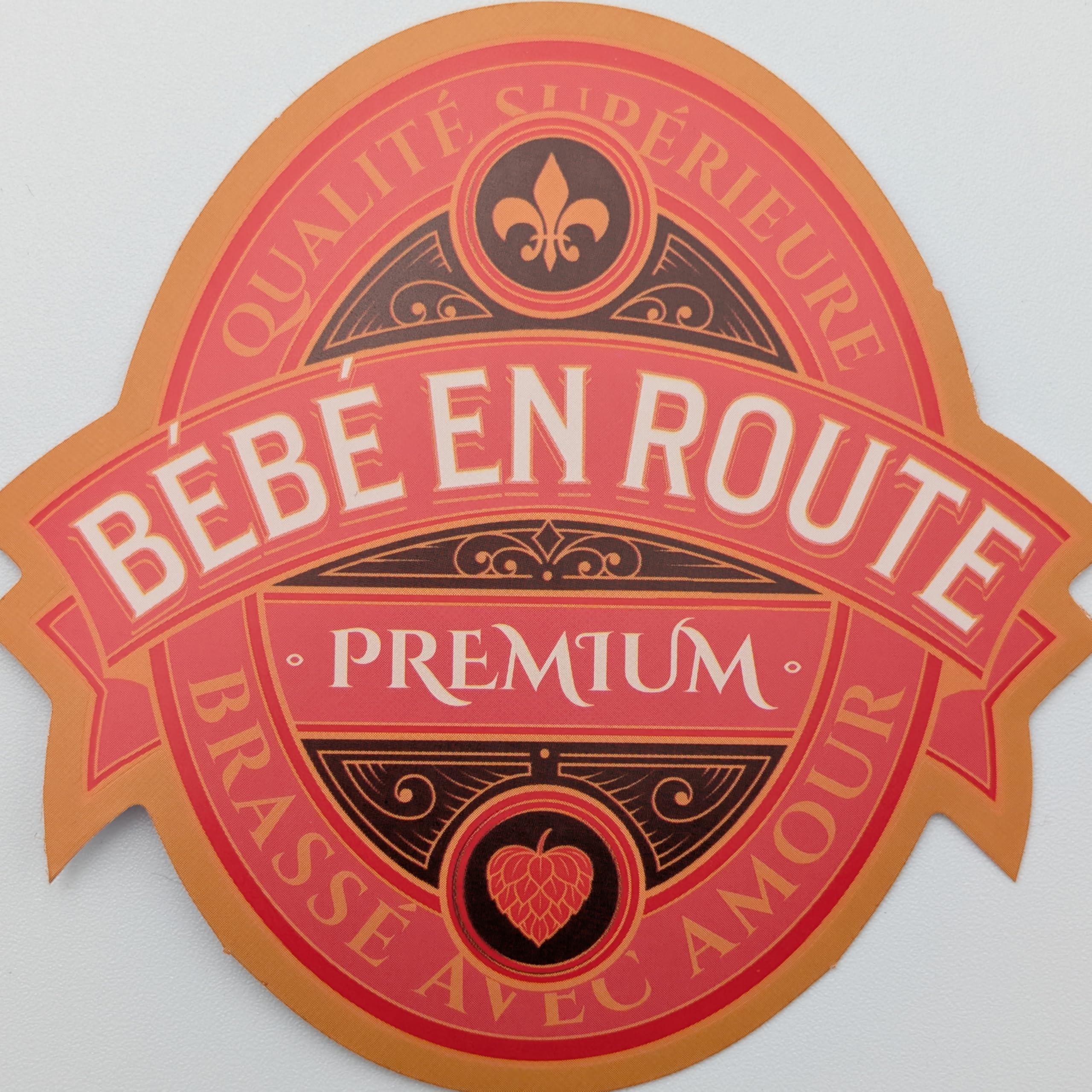 FunFest - Lot x6 Étiquettes Bière Annonce Grossesse - Bébé en Route - (Texte Français) - 5