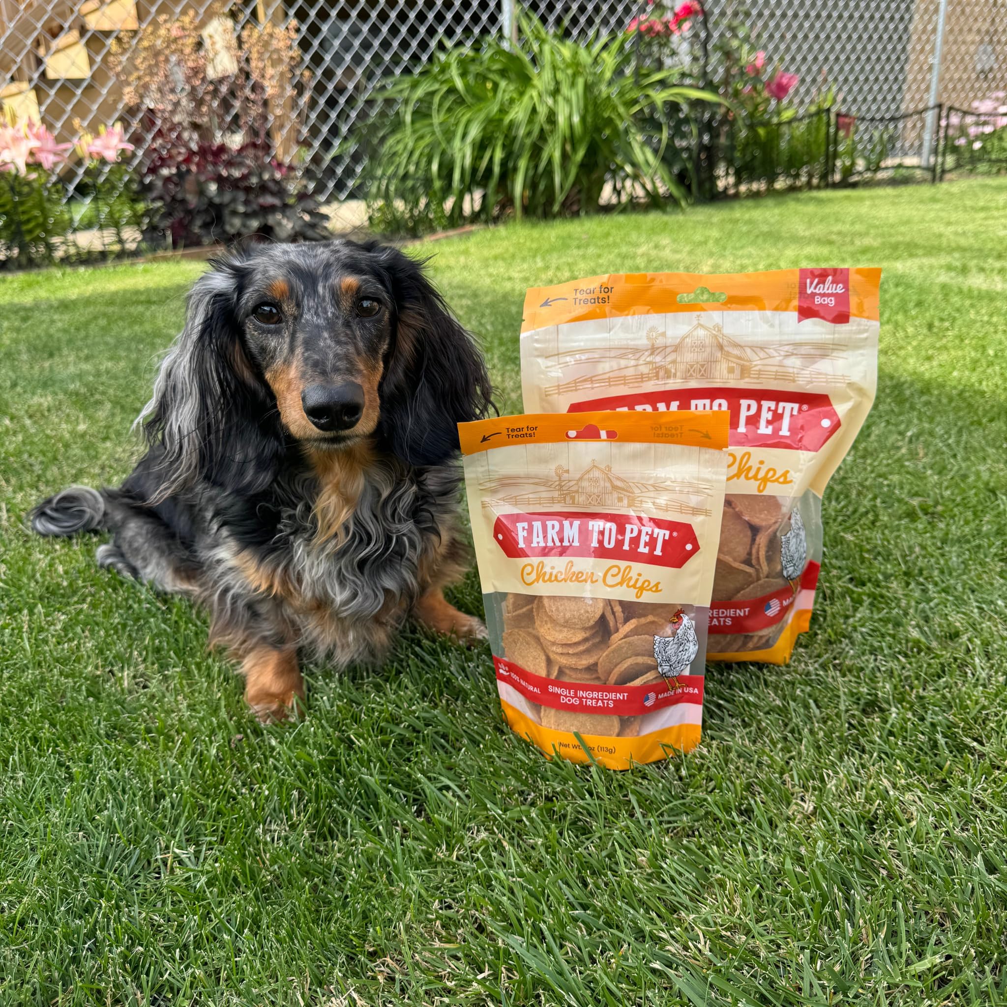 One Bark Foods LLC Farm To Pet Training Treats - Chips De Pollo, Ingrediente Único, Magro, Todo Natural, Golosinas Saludables para Perros Pequeños, Medianos, Grandes Y Cachorros, Hechos En EE. UU.