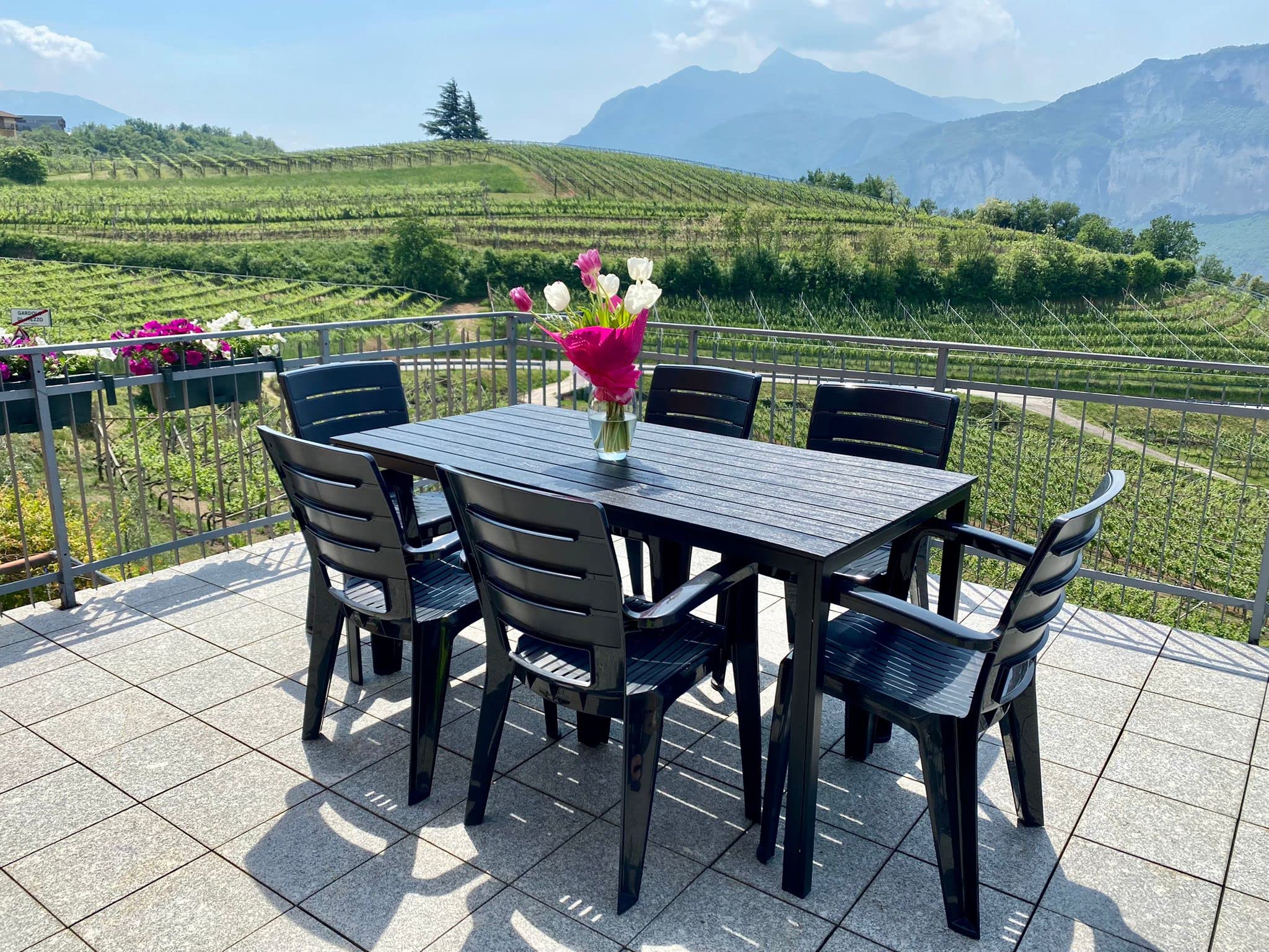 Conjunto jardín exterior mesa y sillas para 6 personas, mesa rectangular de acero con listones de polietileno efecto madera, 6 sillas apilables de resina - Thomas & Anita (Antracita)