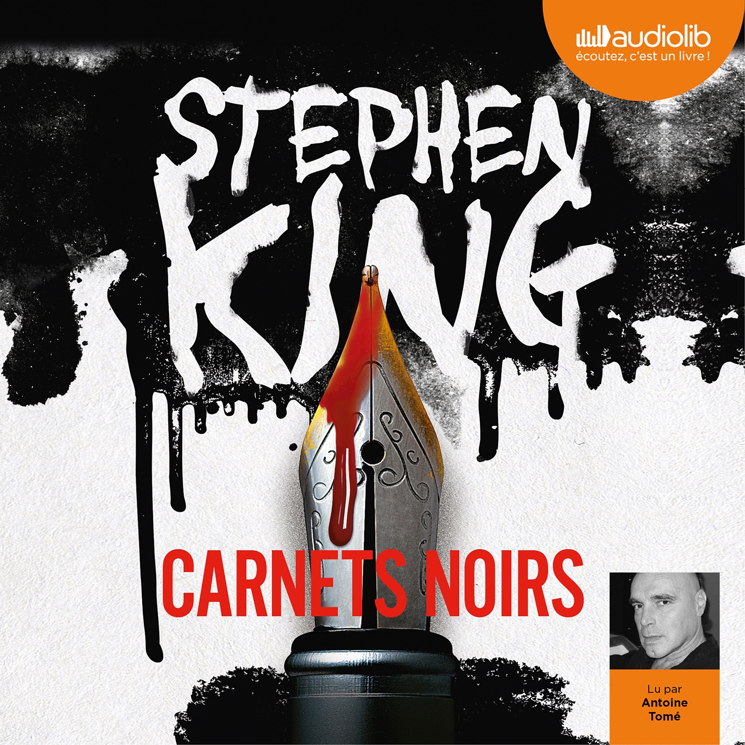 Cover art for Carnets noirs
