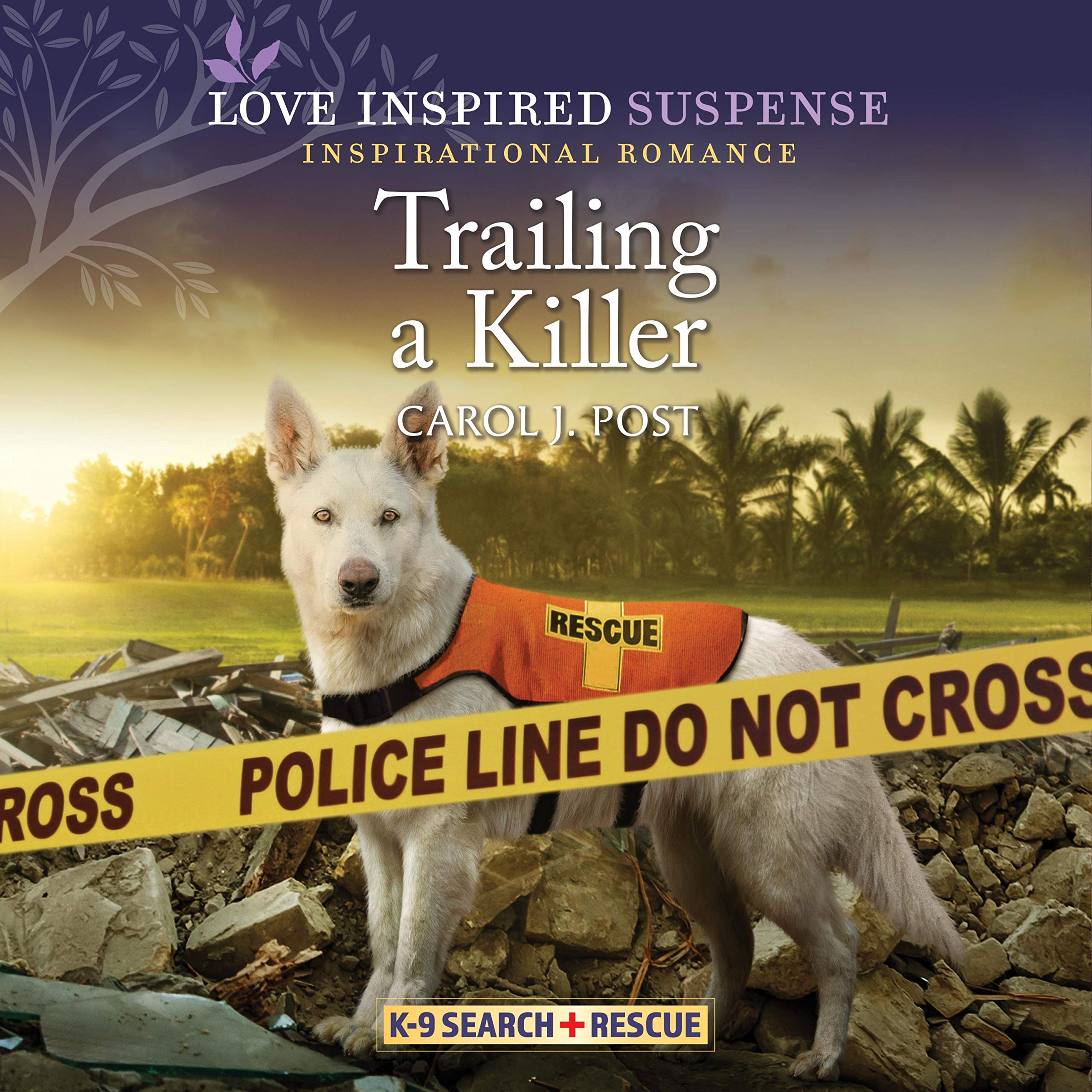 Cover art for Trailing a Killer
