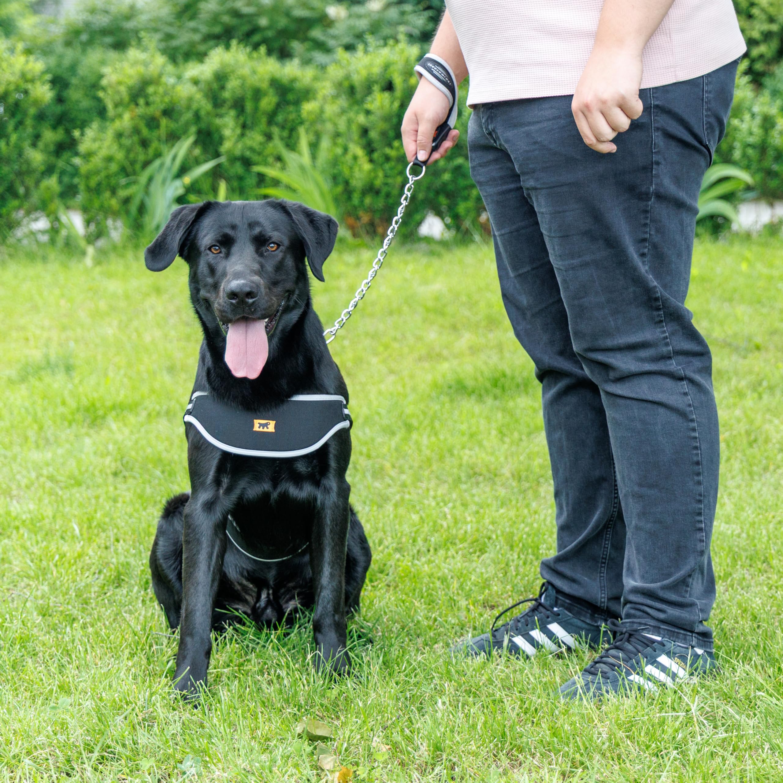 Ferplast Pettorina Cane ERGOCOMFORT NORDIC, Pettorina Svedese per Cane, Comoda Imbottita, Riflettente, Chiusura conMicroregolazione, Rilascio Rapido, LARGE