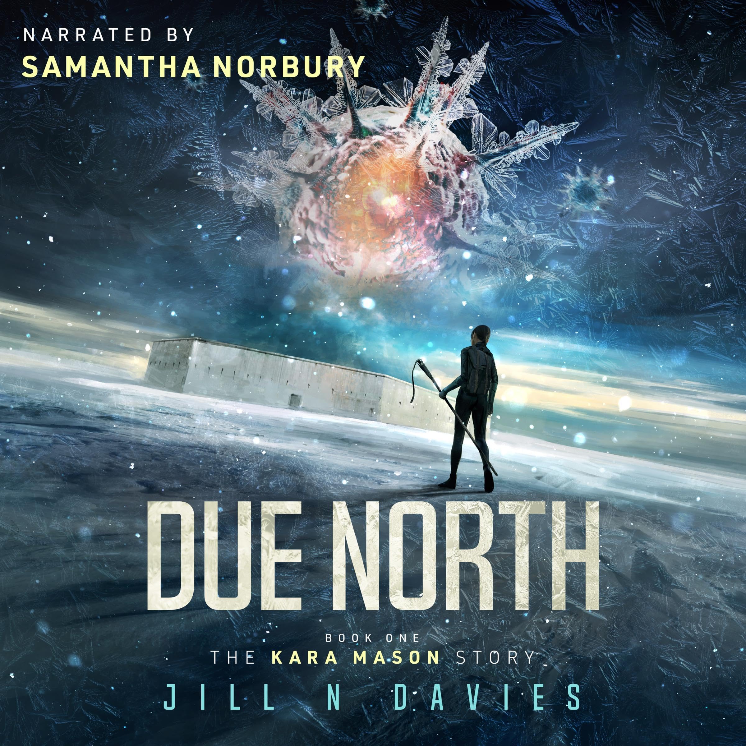 Cover art for Due North