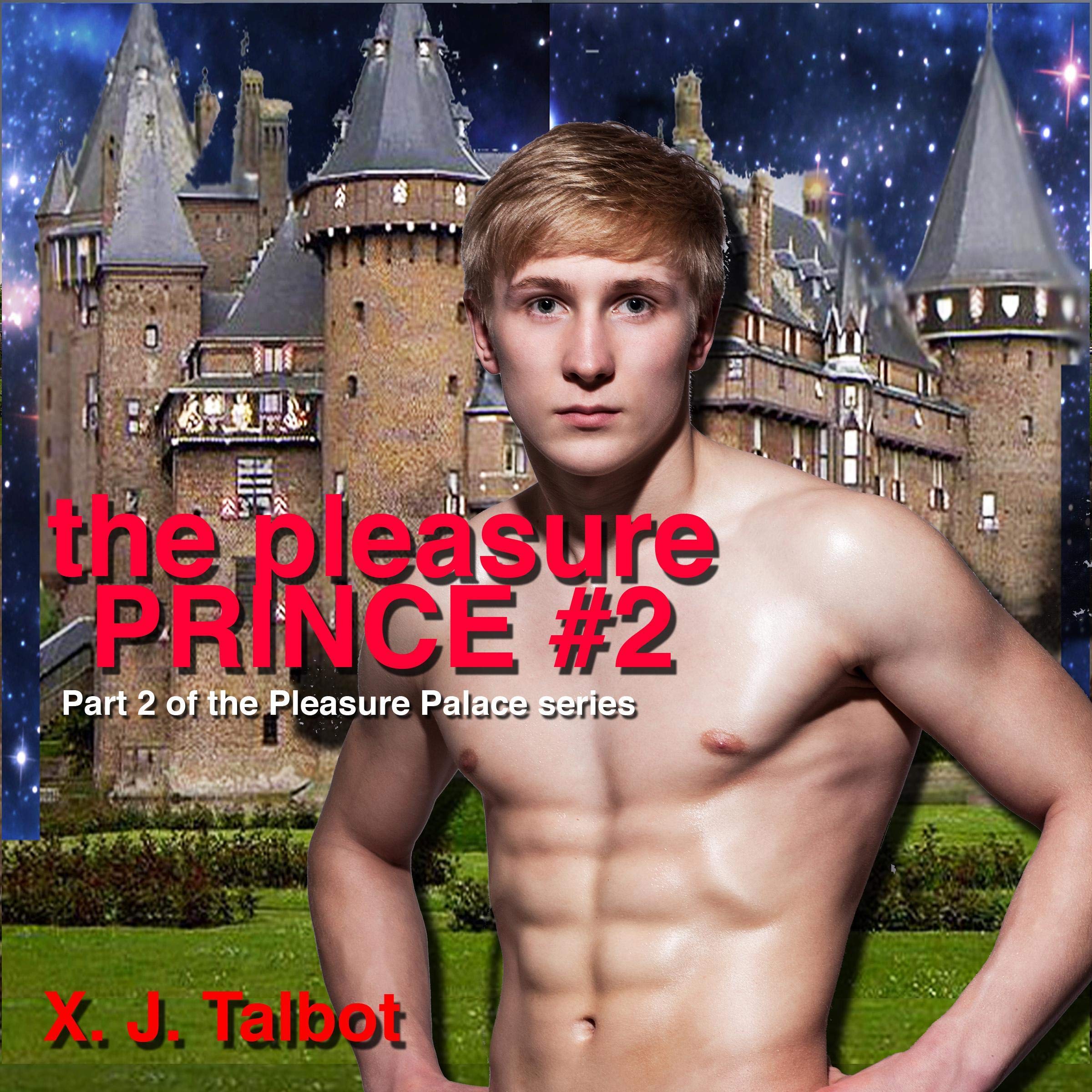 Cover art for The Pleasure Prince #2